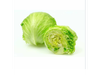 LECHUGA CAPUCHINA