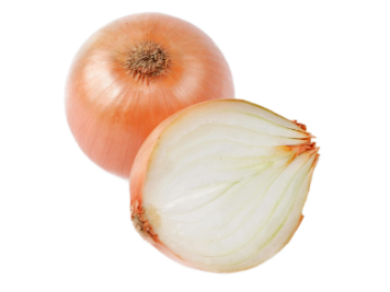 CEBOLLA COMUN