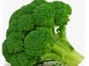 BROCOLI