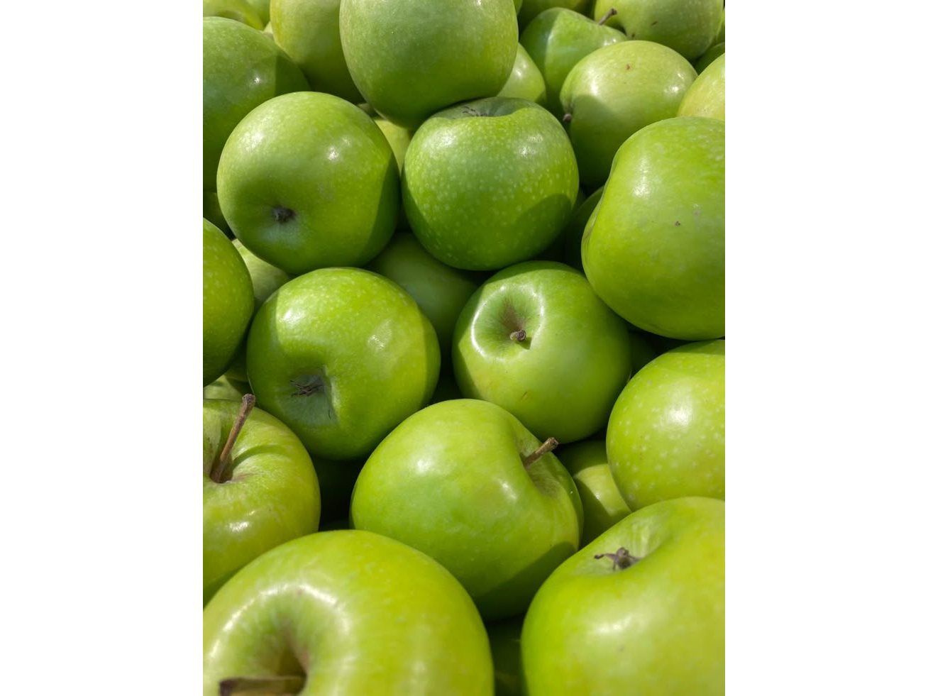 Manzanas verdes