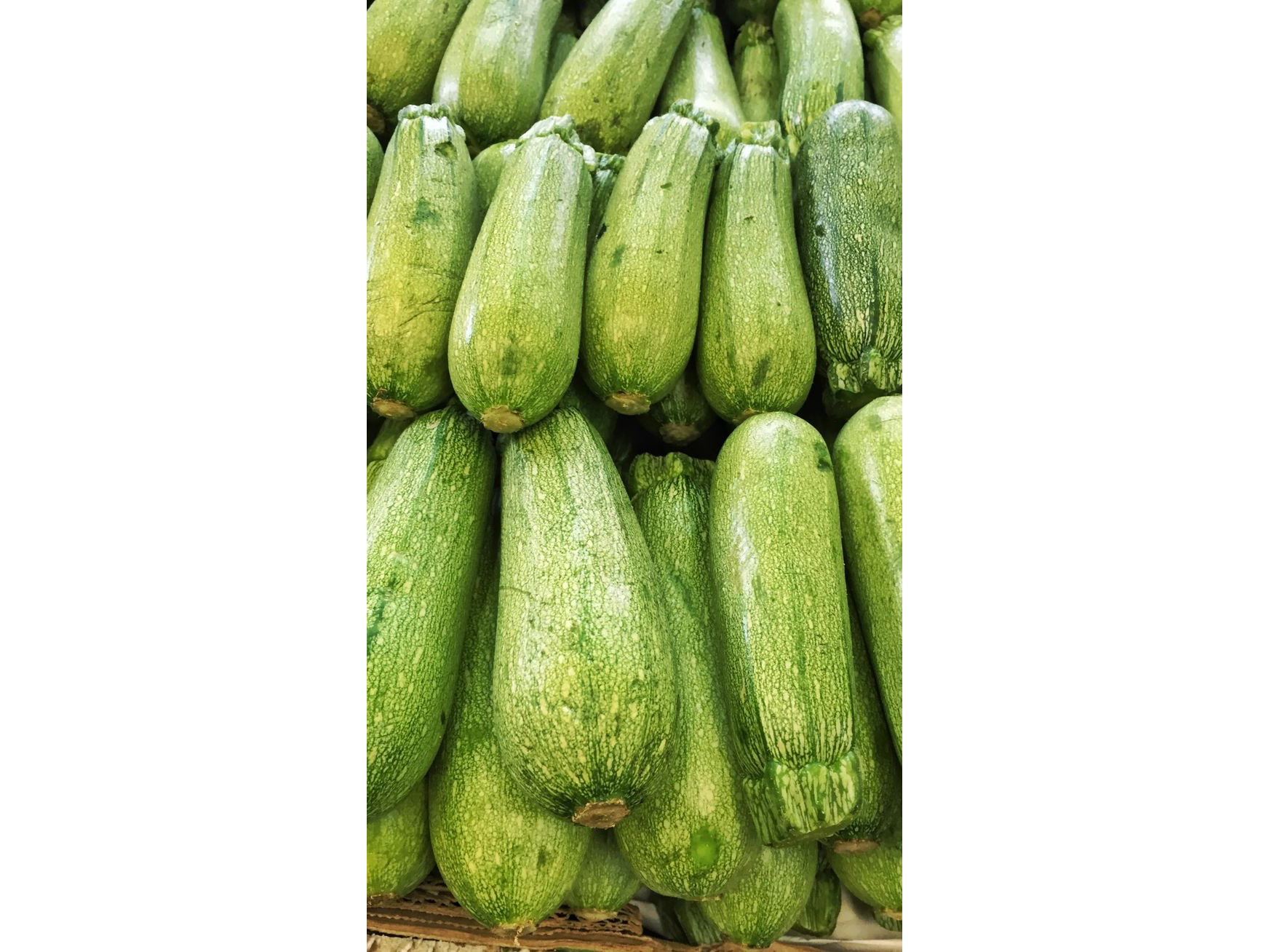 Zuchini
