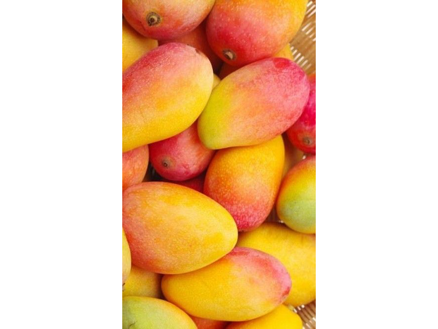 Mango unidad