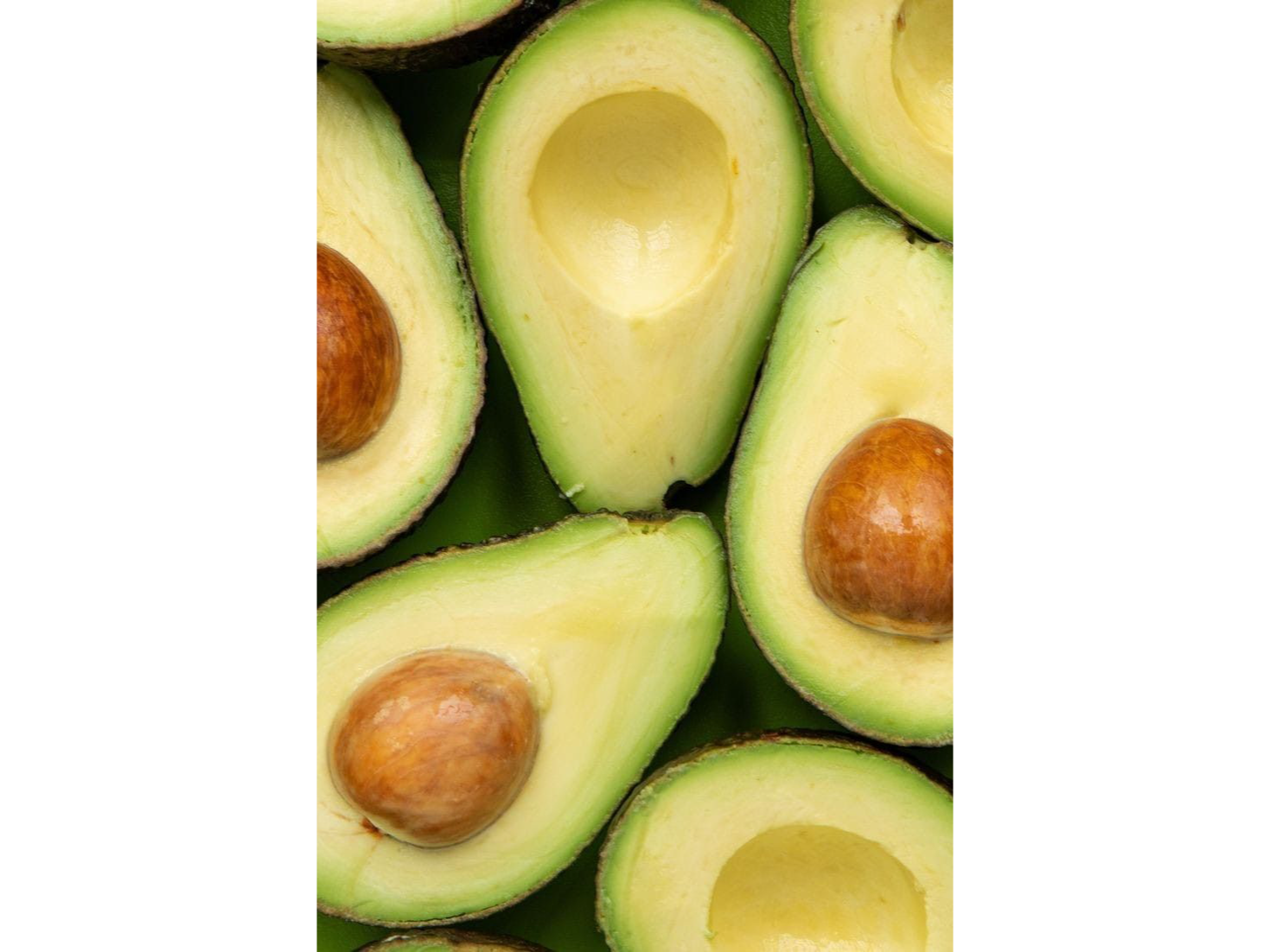Palta