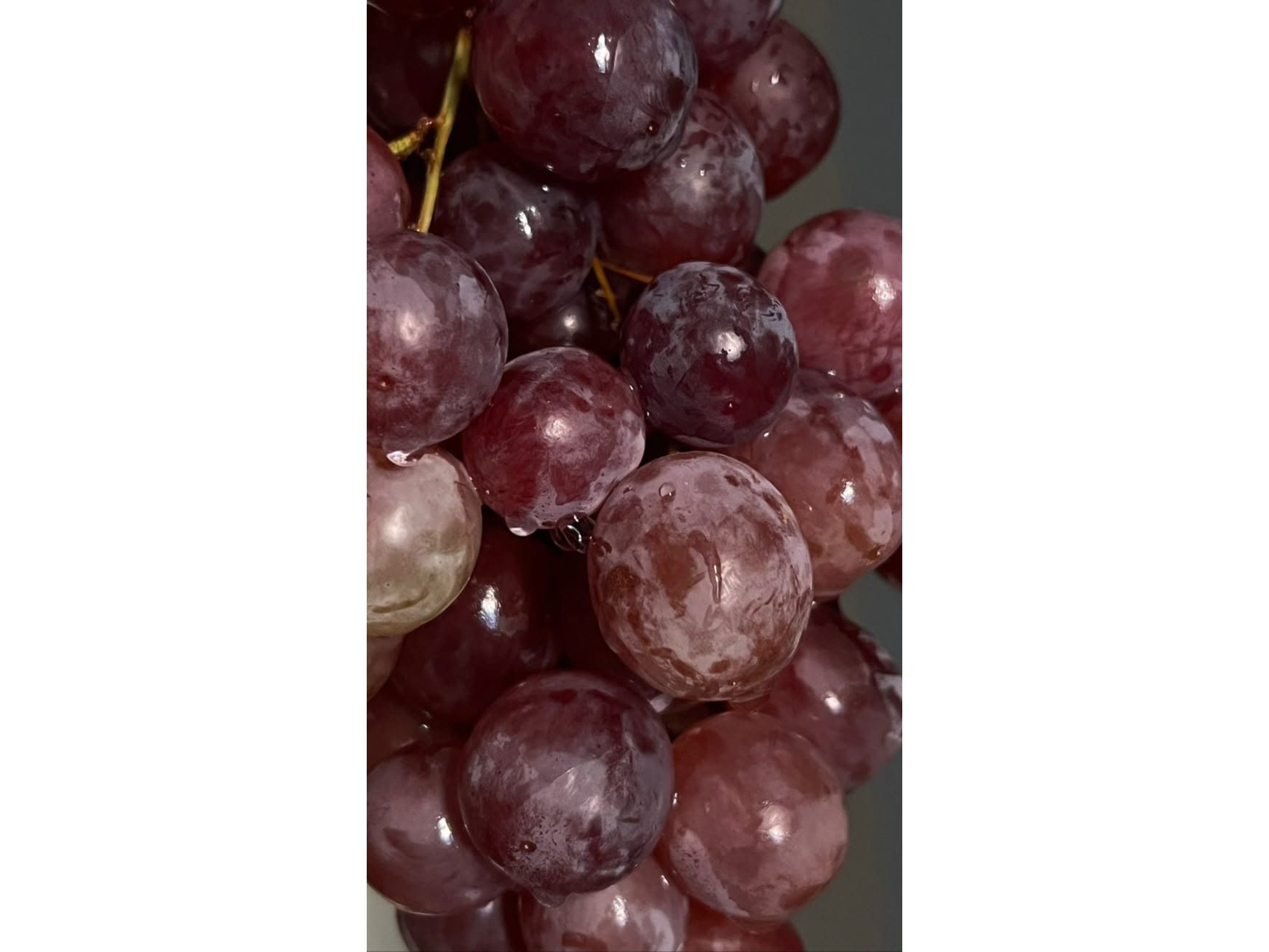 Uvas moradas