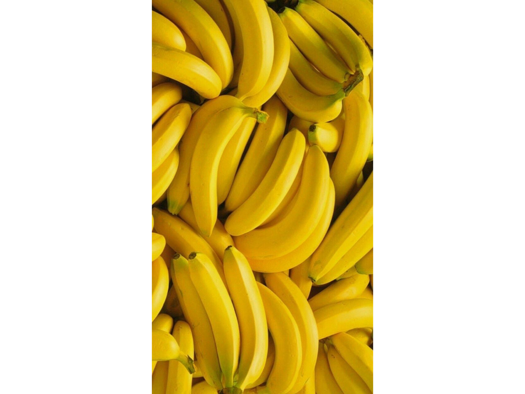 Bananas