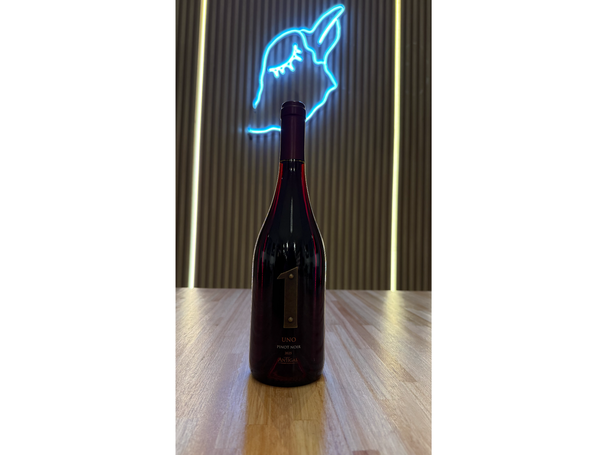 Antigal 1 Pinot Noir