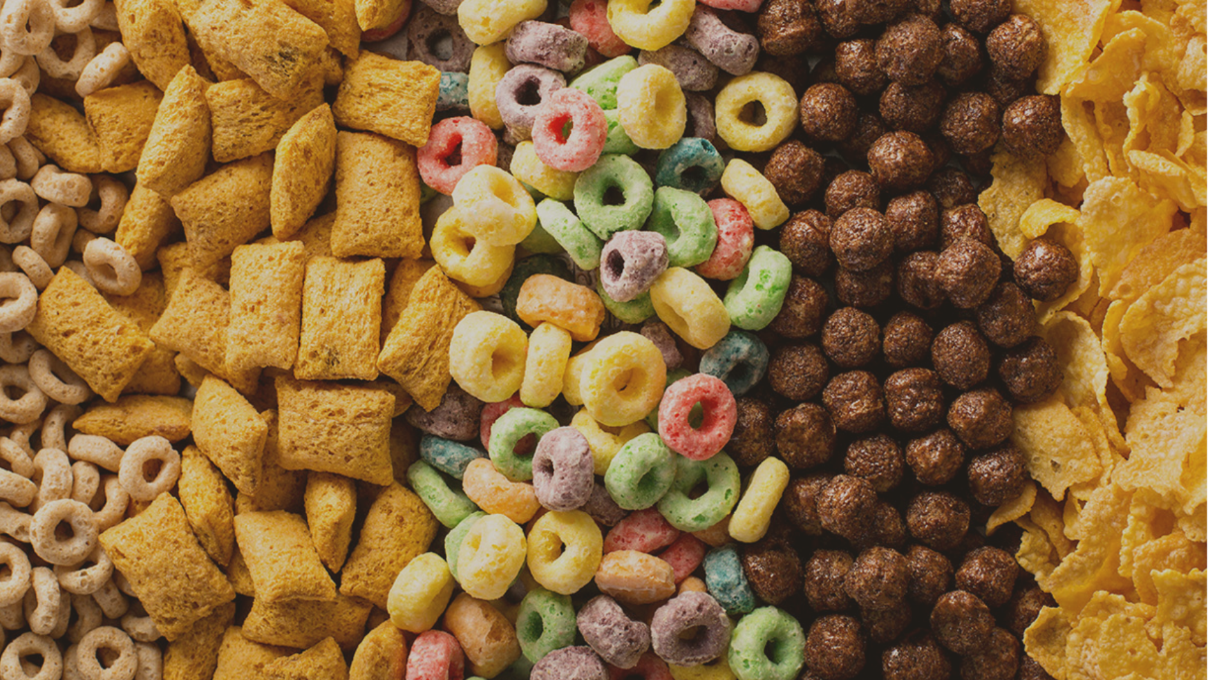 GLUTEN FREE & SALUDABLES