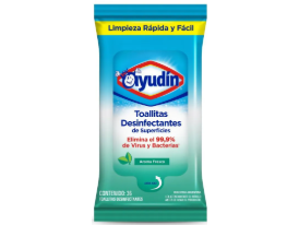 AYUDIN TOALLITAS DESINFECTANTES 24UN