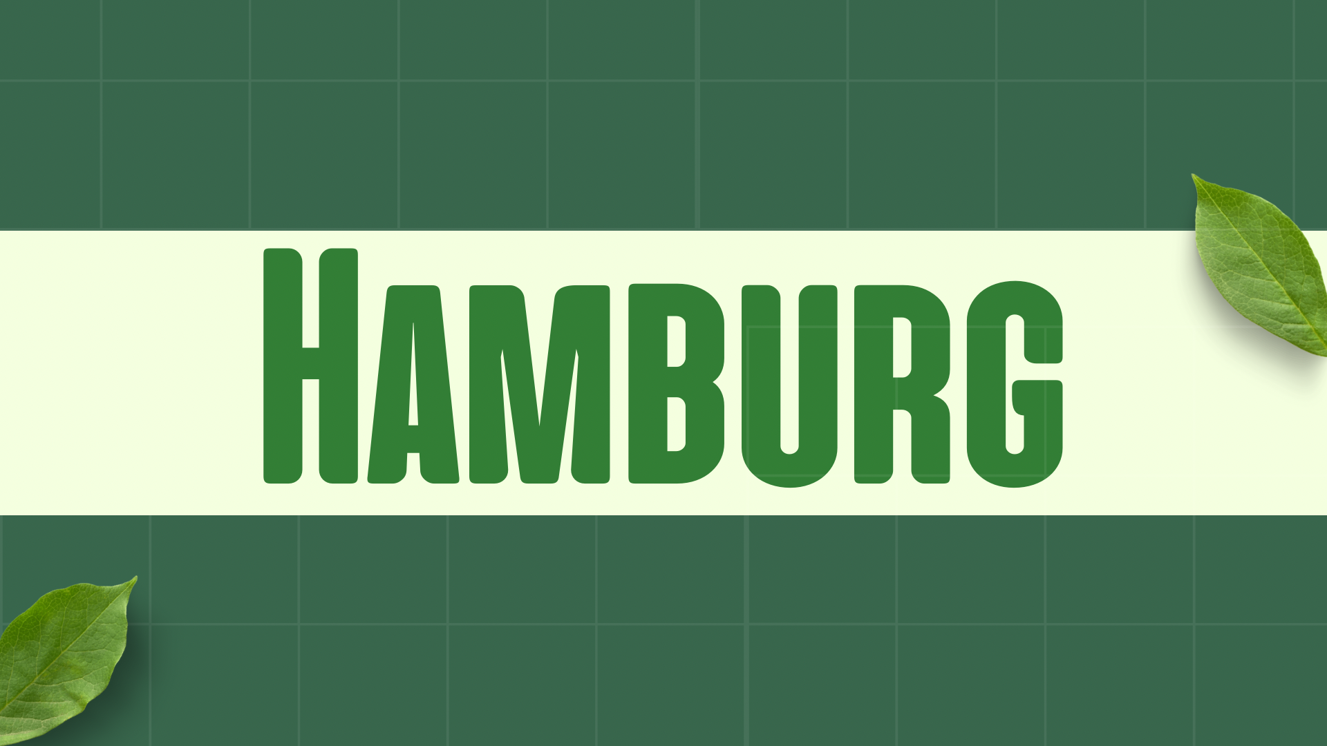 HAMBURGUESAS