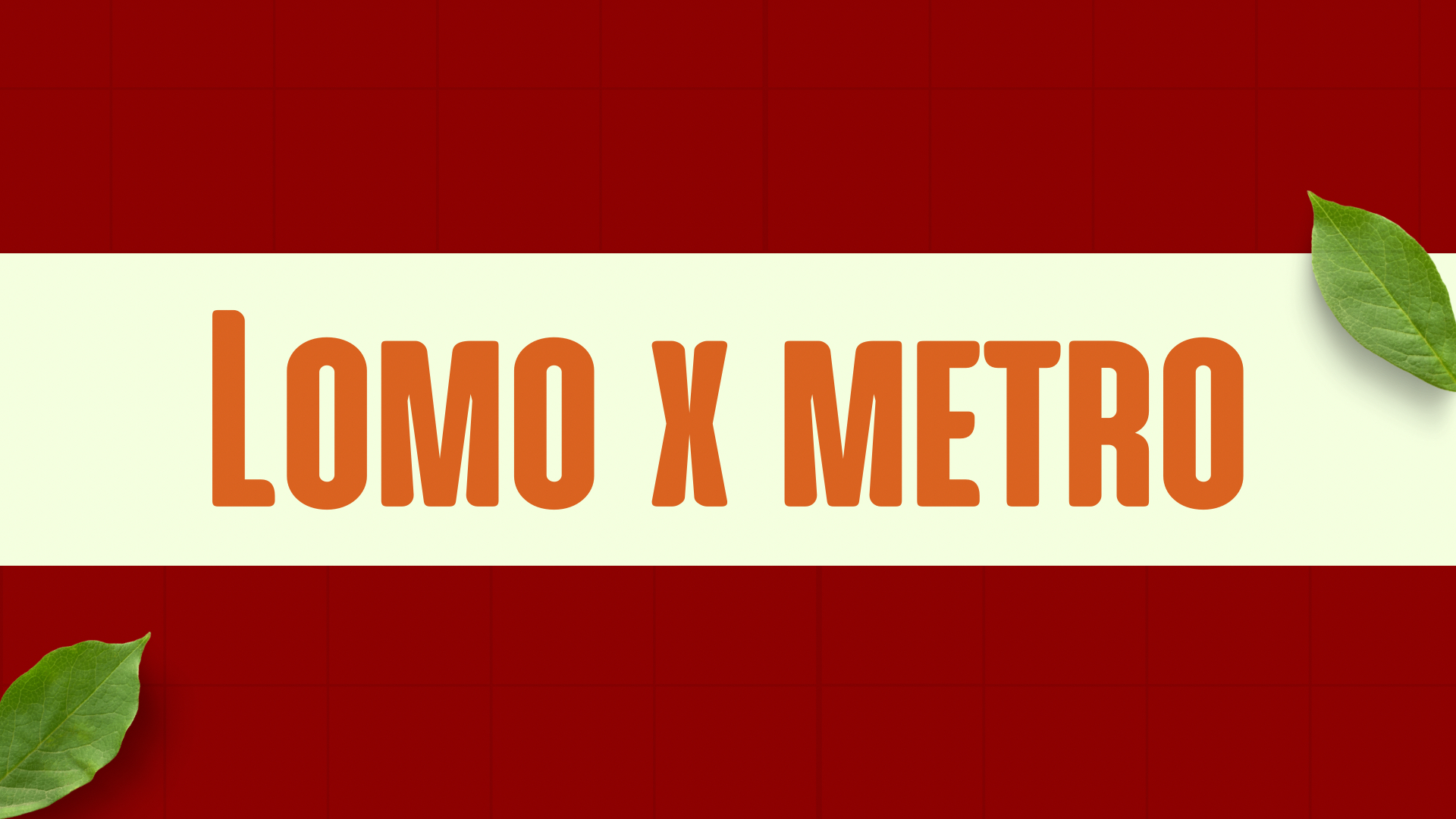 LOMO X METRO