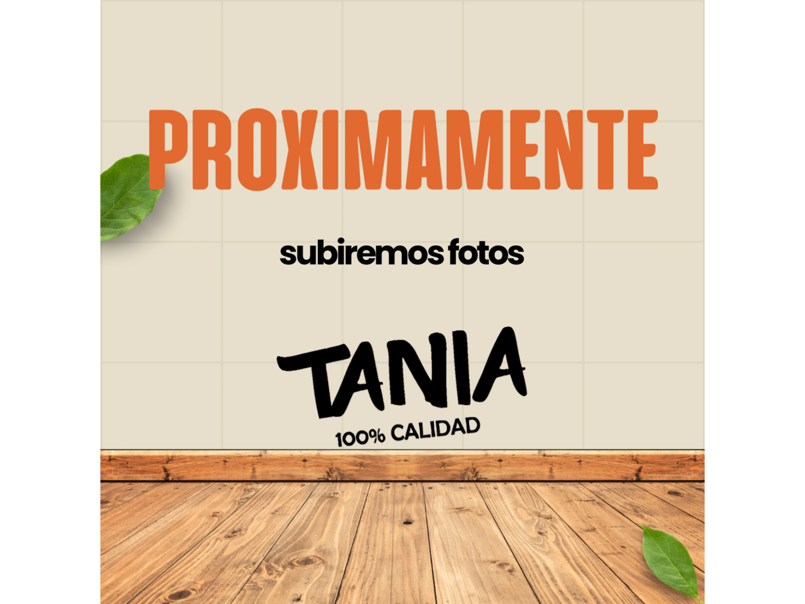 Promos lomos especiales