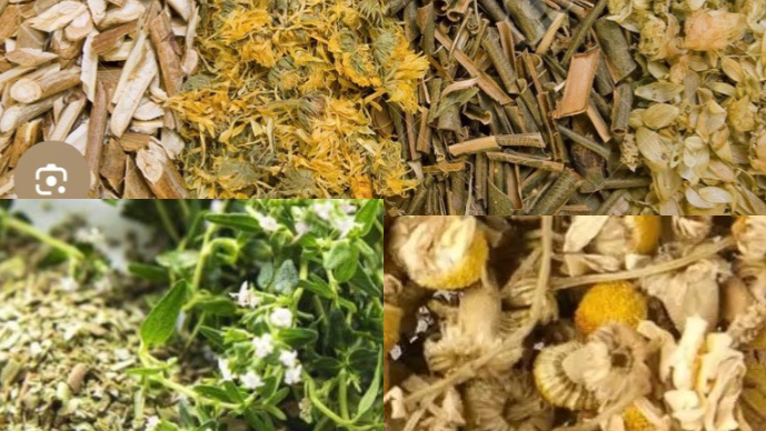 Hierbas, flores, infusiones.