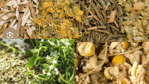 Hierbas, flores, infusiones.