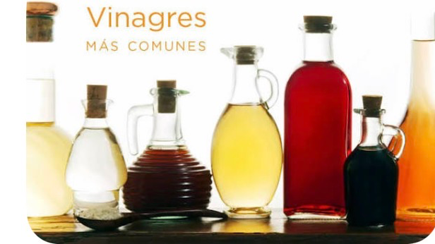 Vinagres y acetos
