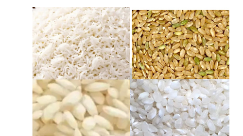 Arroz