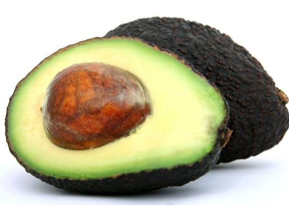 Palta