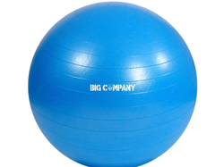 GYM BALL PROFESIONAL 65 cm de diámetro