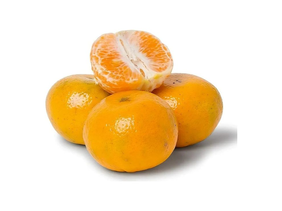 Mandarina okitsu (sin semilla)