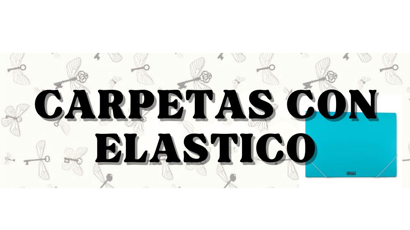 CARPETA 3 SOLAPAS CON ELASTICO