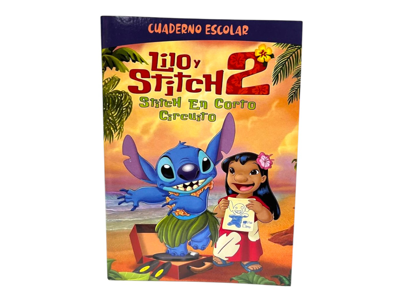 STITCH X24 HOJAS RAYADAS