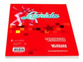 LAPRIDA N3 X96 HOJAS CUADRICULADAS