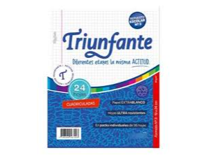 TRIUNFANTE CUADRICULADA X24