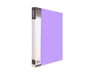 CARPETA CON 10 FOLIOS