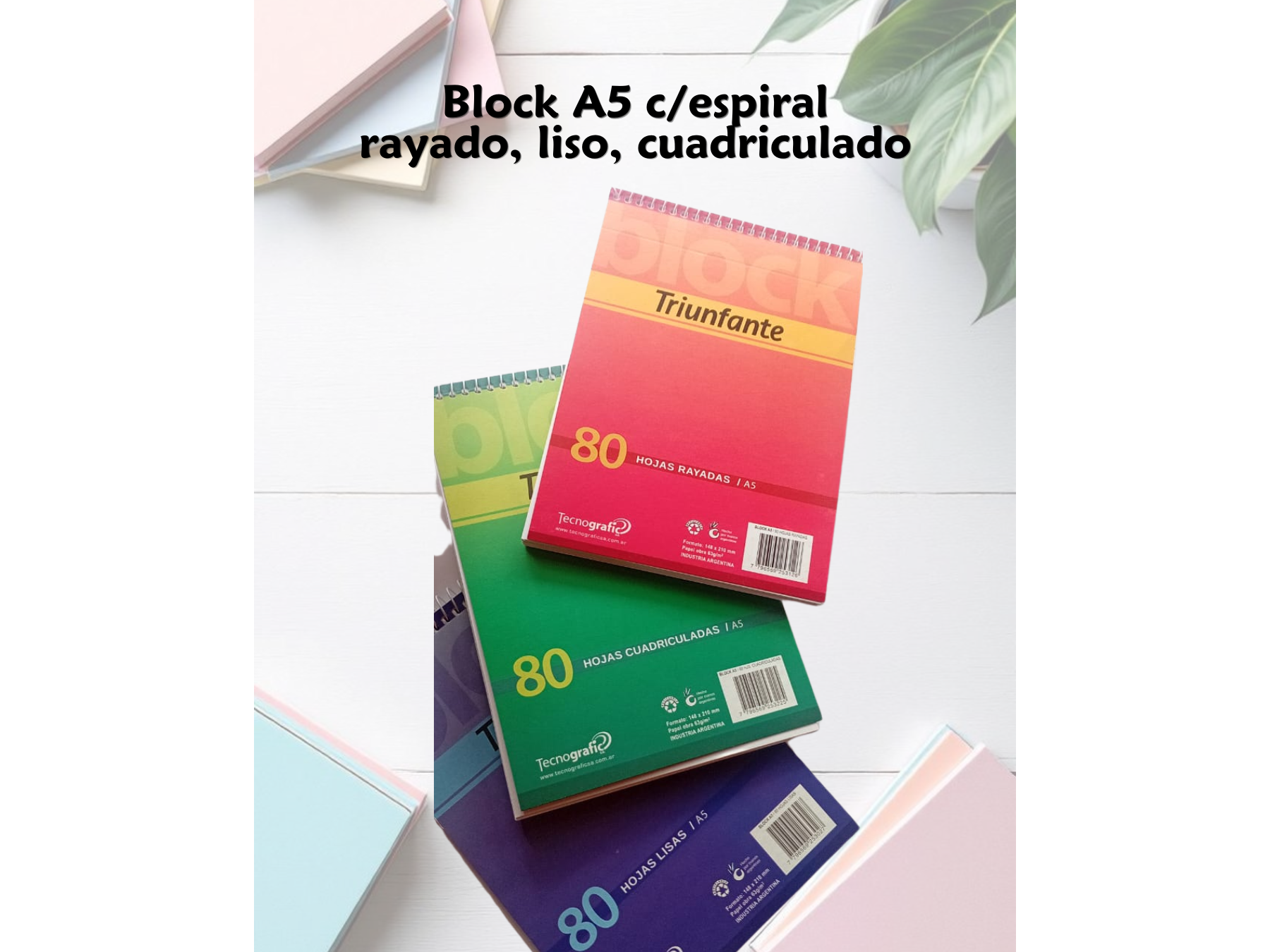 A5 T/FLEX RAYADO 8O HOJAS