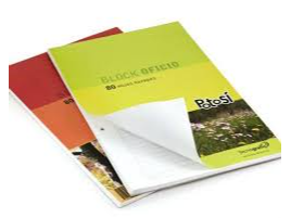 POTOSI LISO 80 HOJAS