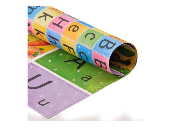 CARTULINAS DIDACTICAS X5UN