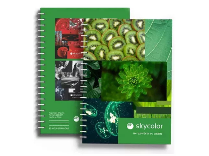 UNIVERSITARIO SKYCOLOR CUADRICULADO