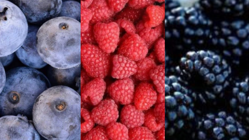 FRUTA CONGELADA (SIN TACC)