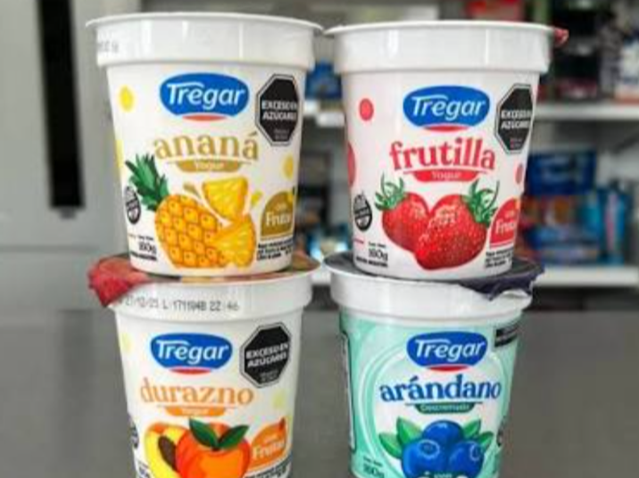 YOGURT TREGAR FRUTAL ENTERO