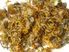 ARNICA EN FLOR