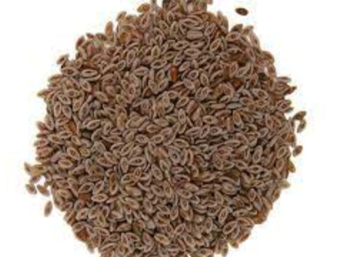 SEMILLAS DE PSYLLIUM ZARAGATONA