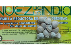 NUEZ DE LA INDIA