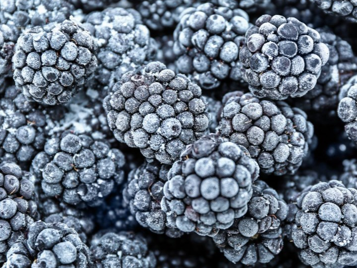 MORAS