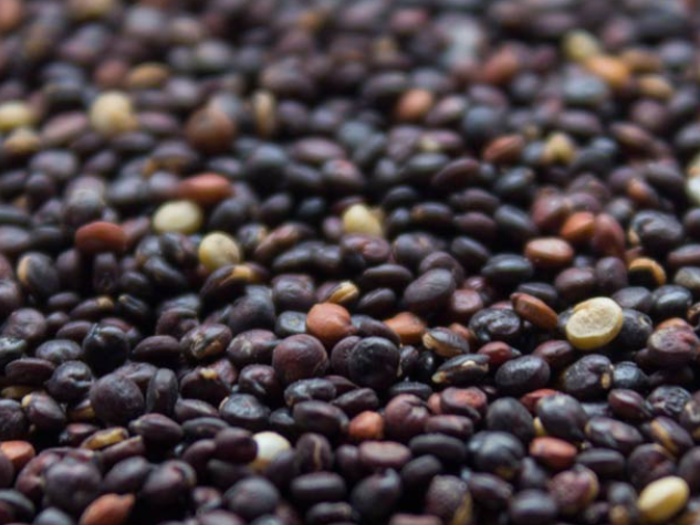QUINOA NEGRA