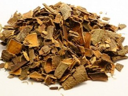 CASCARA SAGRADA