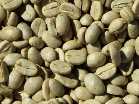 CAFE VERDE EN GRANO X 100 GR