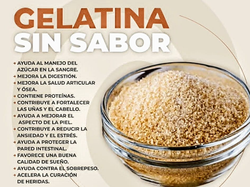 GELATINA SIN SABOR