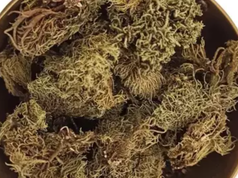 BARBA DE PIEDRA (yerba de la piedra)