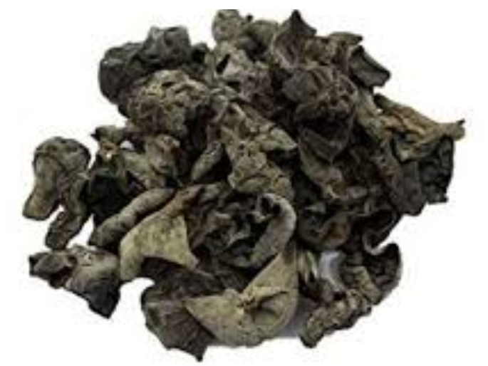 HONGOS BLACK FUNGUS