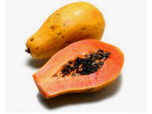 Papaya
