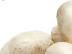 Champignon de GRAN ABASTO
