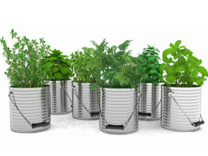 Aromaticas de GRAN ABASTO