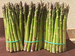 Esparragos frescos
