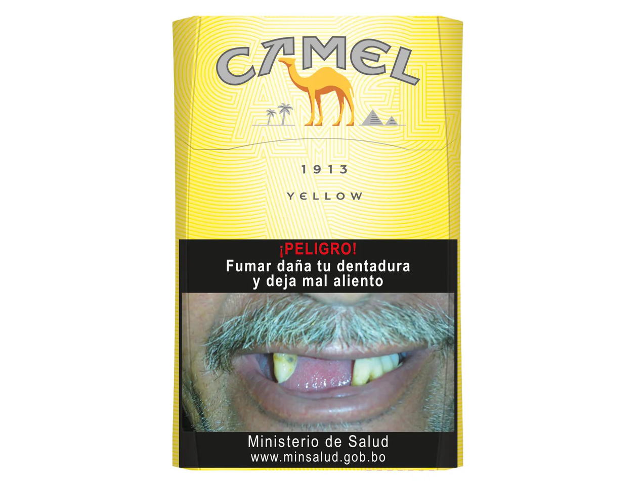 CAMEL FILTERS BOX x 20