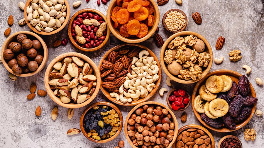 FRUTOS SECOS