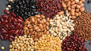 LEGUMBRES